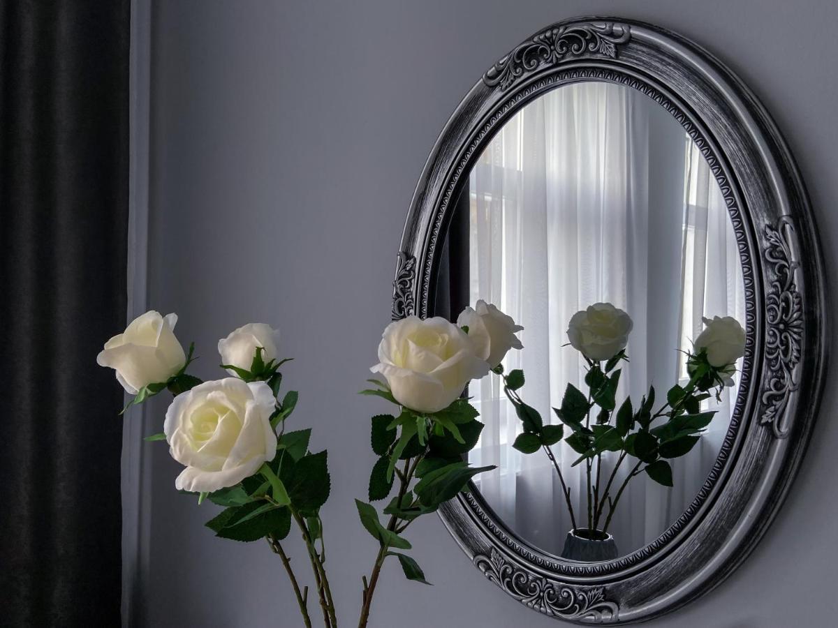 Studio 5 Brasov Ngoại thất bức ảnh